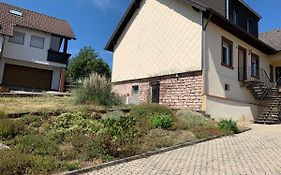 Home Feeling trierweiler